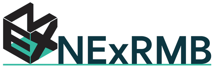 넥스루트모션 NExRMB